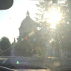 Meet your Posher, Maeve